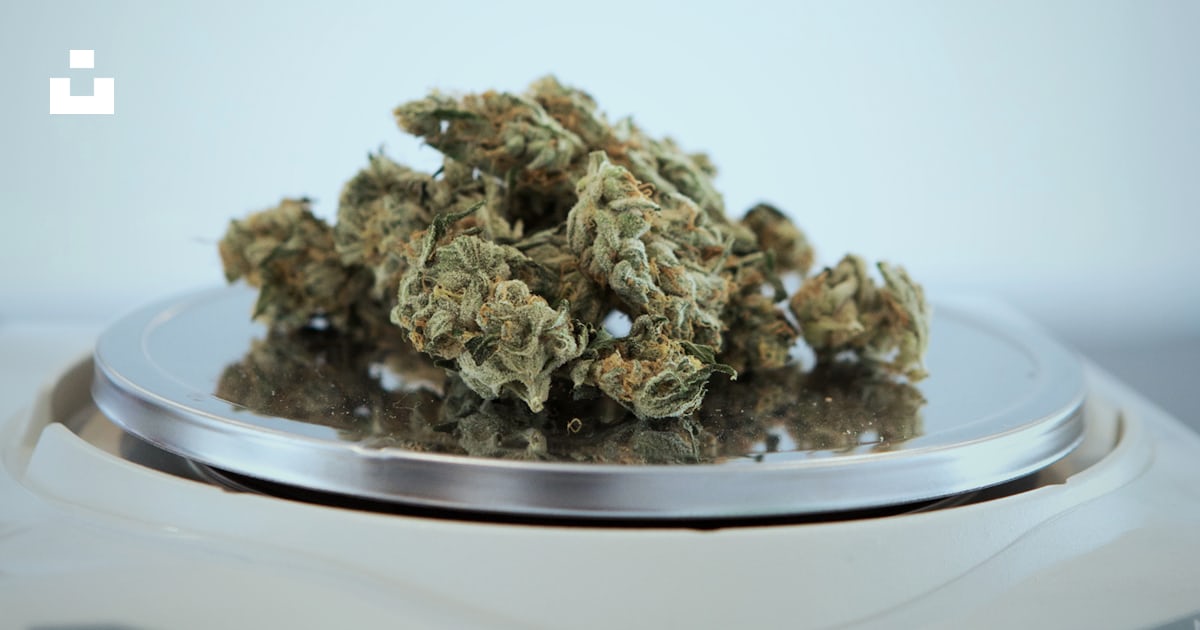 cannabisly's tweet card. Download this photo by Budding . on Unsplash