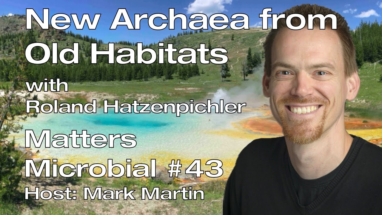 markowenmartin's tweet card. Matters Microbial #43: New Archaea from old habitats