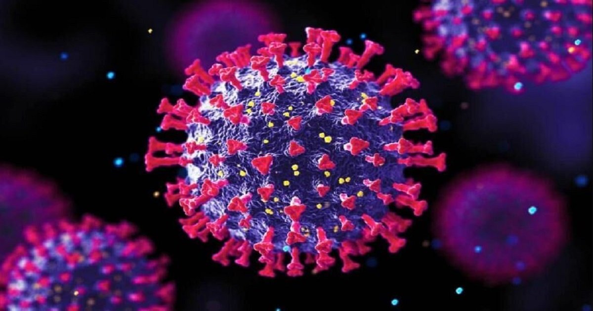 nextindiatimes's tweet card. यह एक सामान्य वायरस (HMPV Virus) है, जिससे घबराने की आवश्यकता नहीं है। इस वायरस से इंफेक्शन (Infections) देश में पहले भी होते रहे हैं।