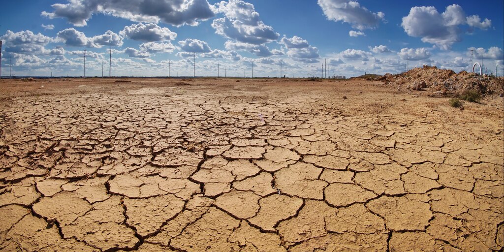 RConectando's tweet card. En medio de las negociaciones internacionales en la COP 27, un nuevo informe de un consorcio internacional de científicos advirtió que es urgente dejar de contaminar al planeta