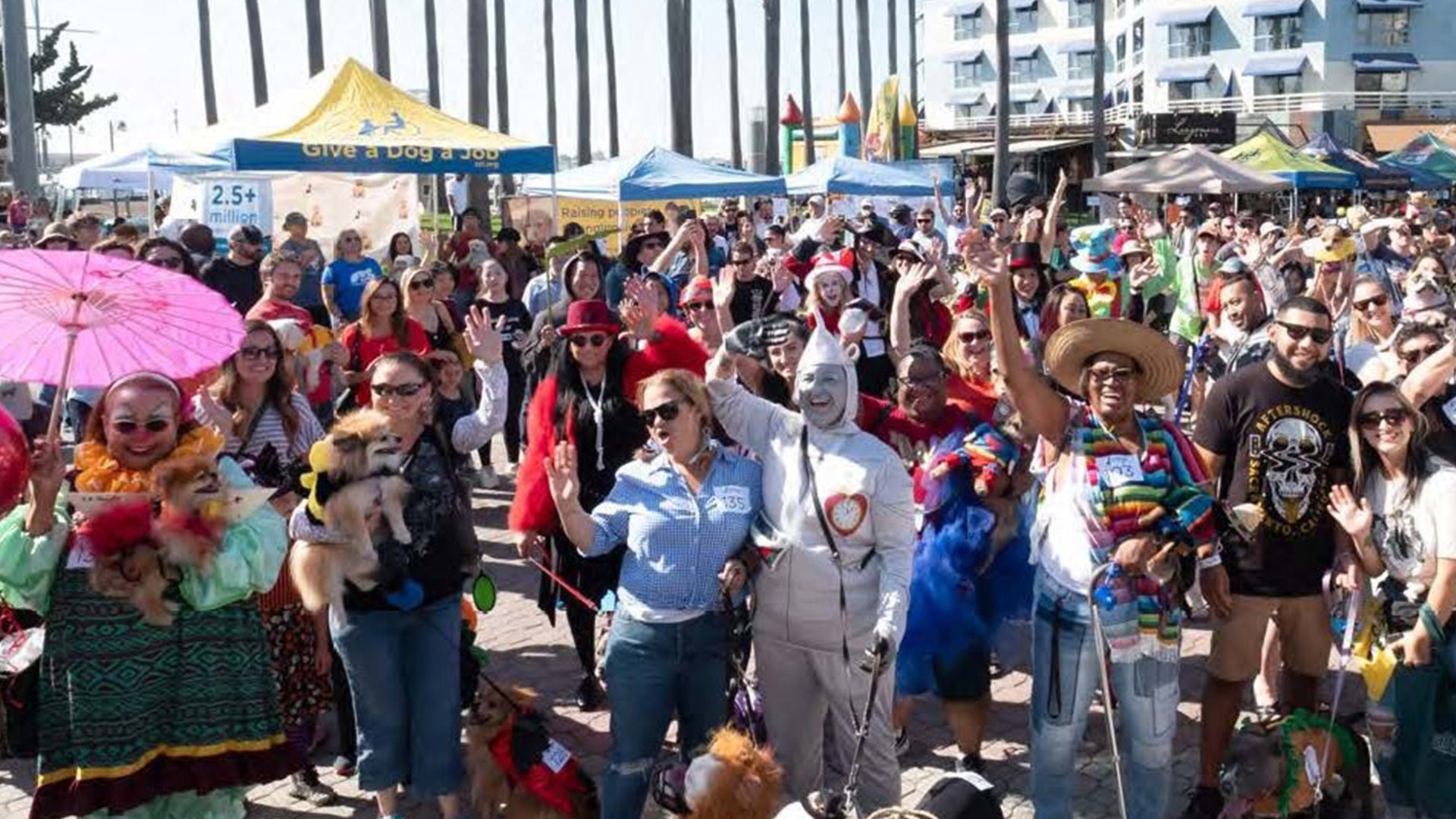 ICSC's tweet card. How Jack London Square’s month-long DogFest campaign boosted community engagement in Oakland, raised funds for service dogs and earned an ICSC MAXI Gold Award.