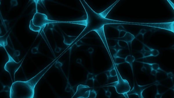 NeuroTechLDN's tweet card. It's that time of the year again... **NeuroTechX's Buzz in Review** global event series is back with its 5th annual instalment! Join us **Thursday 22nd February** from **6