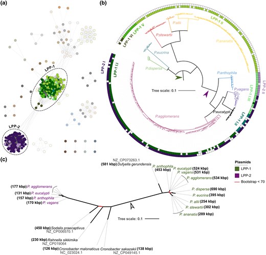 devaropi's tweet card. Abstract. Plasmids are important drivers of evolutionary transformations and ecological adaptation in prokaryotes. Plasmids supplying the host with benefic