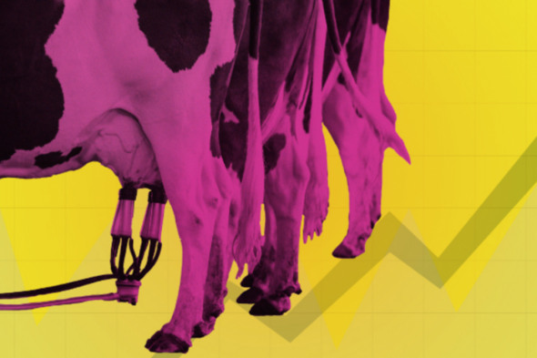 ellamcsweeney's tweet card. Carbon emissions-heavy dairy and livestock farming rewarded over environmental efforts.