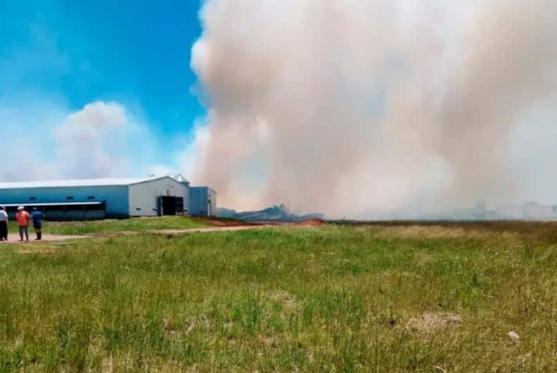 RuralNetOficial's tweet card. Un voraz incendio destruyó este martes al mediodía un galpón avícola de la empresa EFS Agro, ubicado en el kilómetro 166