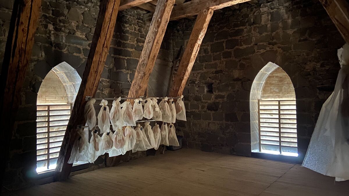 ChouetteAgile's tweet card. À Saint-Flour (Cantal), dans la cathédrale la plus haute d’Europe, des éleveurs expérimentent l’affinage d’un jambon auvergnat d’exception.