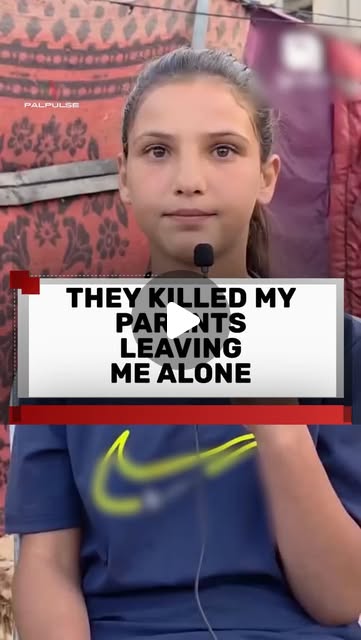 liamcunningham1's tweet card. PalPulse (@pulseofpal) • Instagram reel