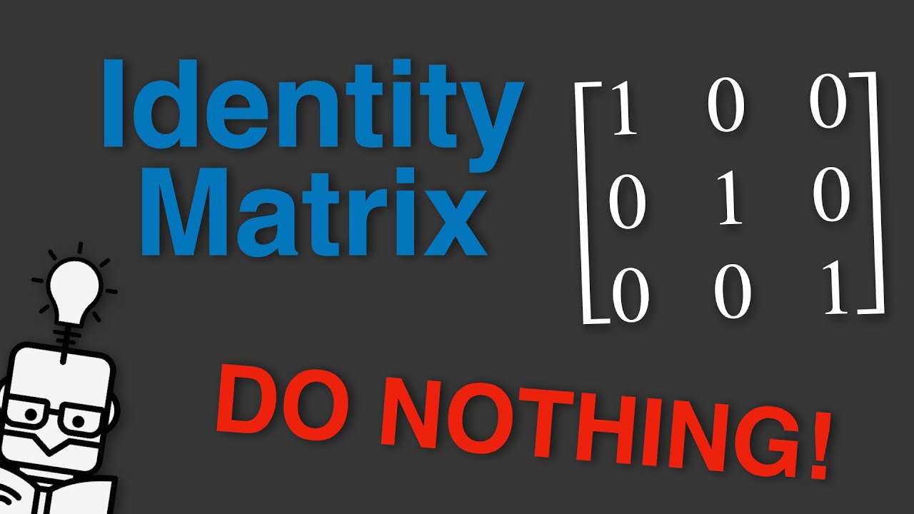 datamlistic's tweet card. The Identity Matrix - Explained