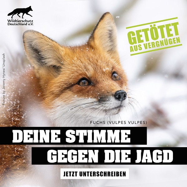 harina_ieneck's tweet card. Jagd und Jäger sind Teil unserer Naturschutzprobleme. Hobbyjagd abschaffen!