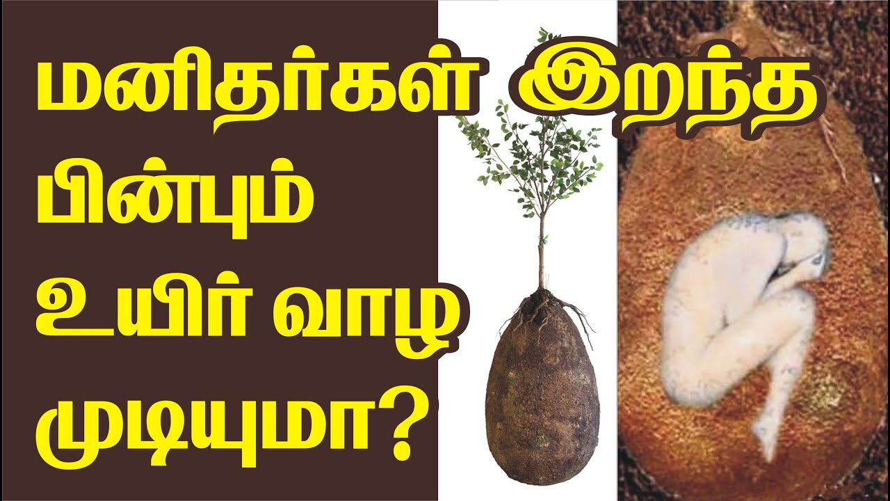 netonetchannel's tweet card. After death human will alive ? | மனிதர்கள் இறந்த பின்பு உயிர் வாழ...