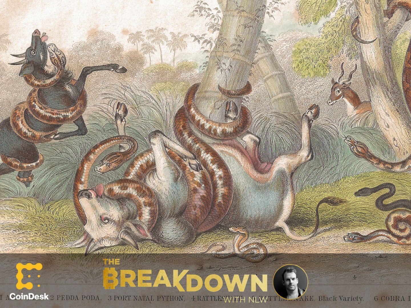 mike_brown_yyc's tweet card. Agencies across the federal government have launched a coordinated campaign to pressure banks into not serving crypto customers.