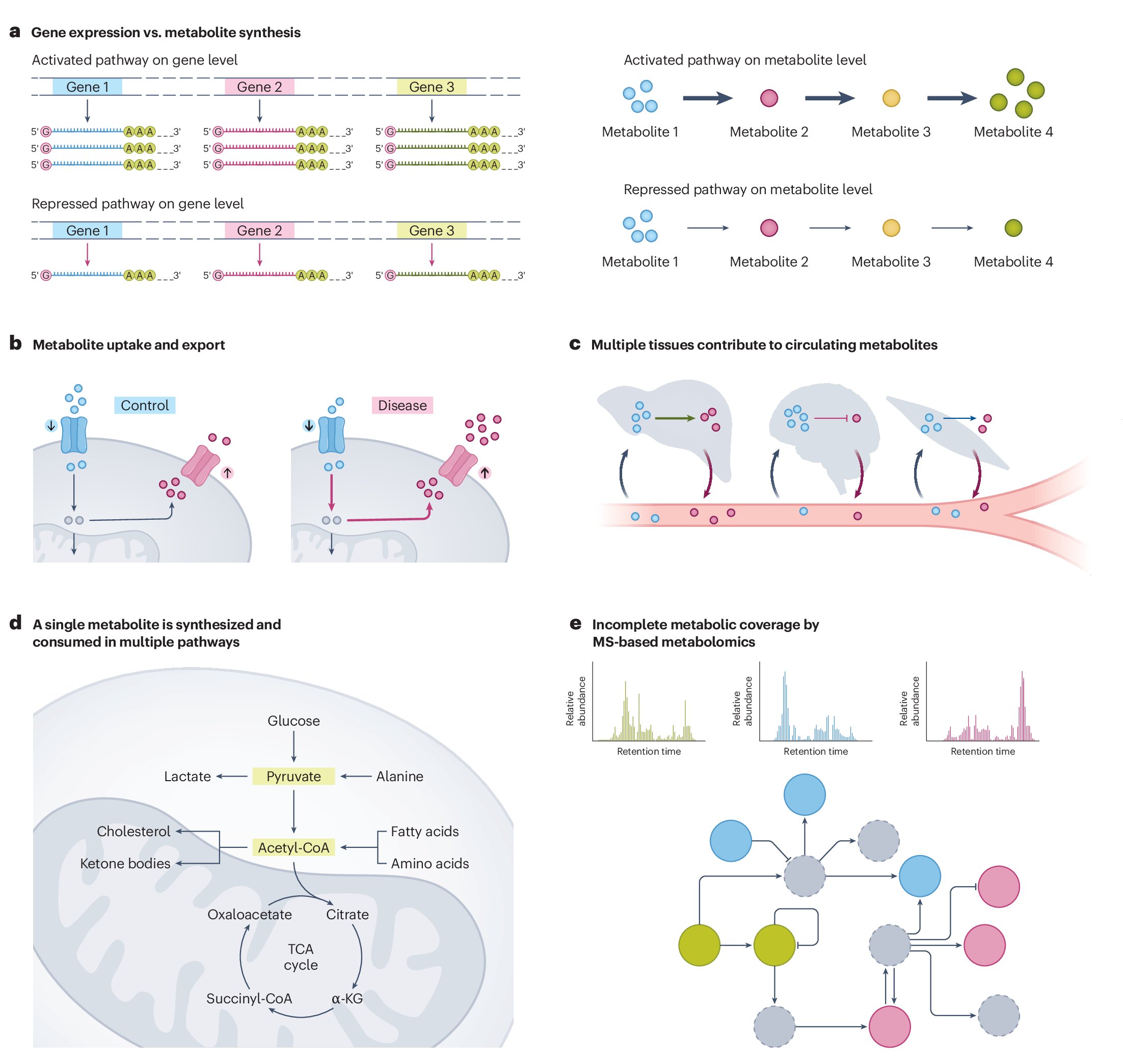 BioinfoCreed's tweet card. Nature Metabolism - Pathway analysis, originally developed for gene expression data, has been adapted for metabolomics. However, owing to the unique characteristics and constraints of metabolites...