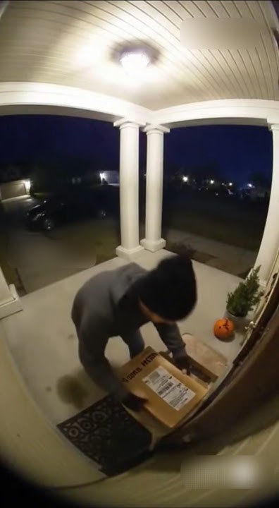 fbitopdog's tweet card. He Tried to Steal… But Got a Paint Bomb Instead 🎨💥#RingDoorbell...