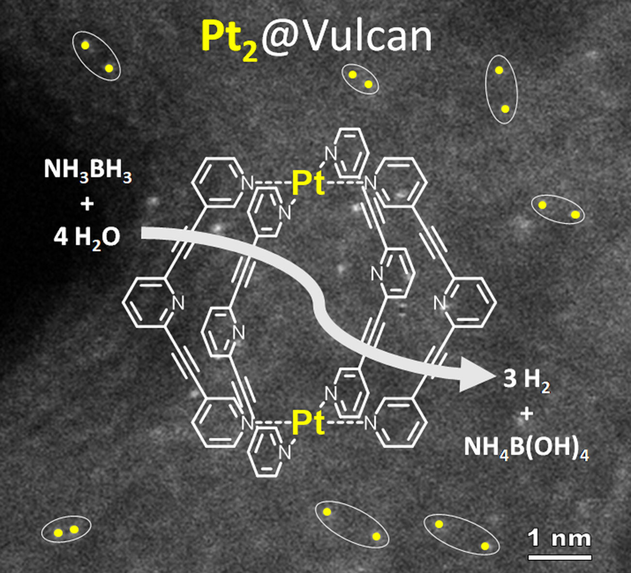 Molecular_Cages's tweet card. Cage control: Surface immobilization of supramolecular cages gives control over the first- and second coordination spheres of heterogeneous catalysts, enabling diffusion-controlled reaction kinetics.