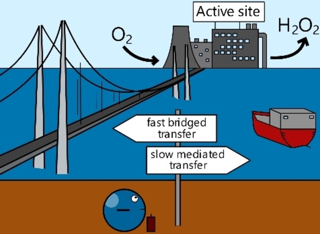 ej_meeus's tweet card. Connect them: A bottom-up approach is applied to construct a conjugated C−C bond between the commercial Vulcan carbon electrode and an organometallic catalyst. The strong electrode/active site...