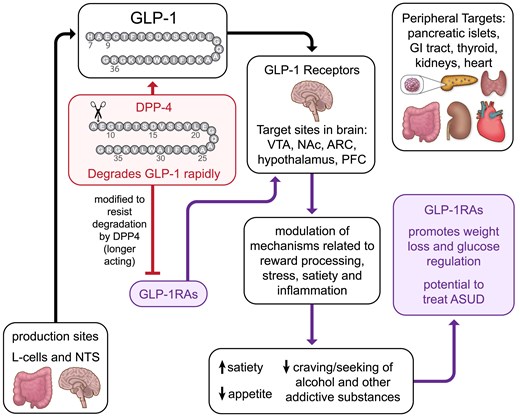 docwas's tweet card. Abstract. Alcohol and other substance use disorders (ASUDs) are complex, multifaceted, but treatable medical conditions with widespread medical, psychologi