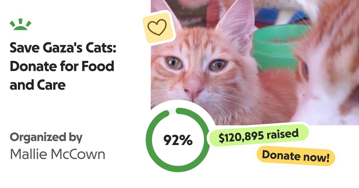 Varg27425924894's tweet card. Hello Everyone! My name is Mallie, and this campaign was requested to be … Mallie McCown needs your support for Save Gaza's Cats: Donate for Food and Care