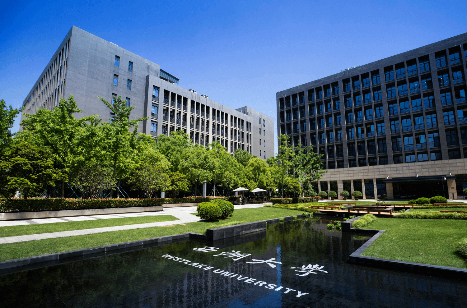 SinoTurkish's tweet card. Source: Westlake University Official WeChat