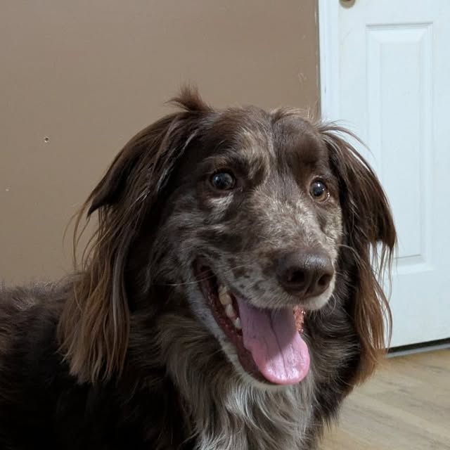 kimmie_2009's tweet card. Kimberly Smith (@auntkimmie_2015) • Instagram photo