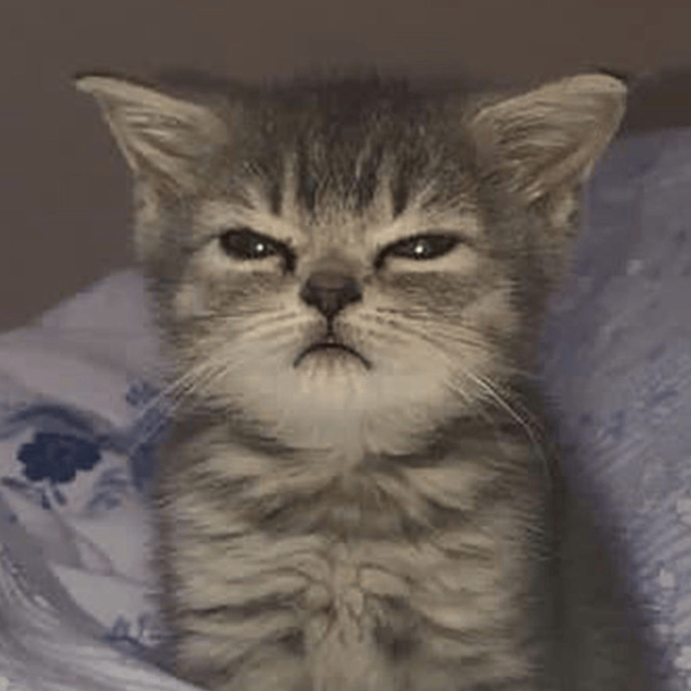 Novinski_ETH's tweet card. Discover the magic of the internet at Imgur, a community powered entertainment destination. Lift your spirits with funny jokes, trending memes, entertaining gifs, inspiring stories, viral videos, and...