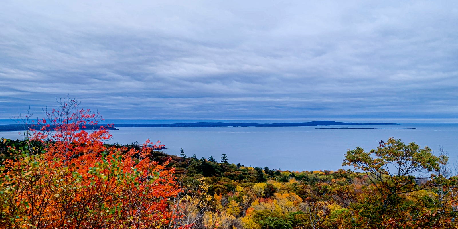 JoshuaScheinker's tweet card. Read up on peak viewing times across the country and where to find endless fall color.