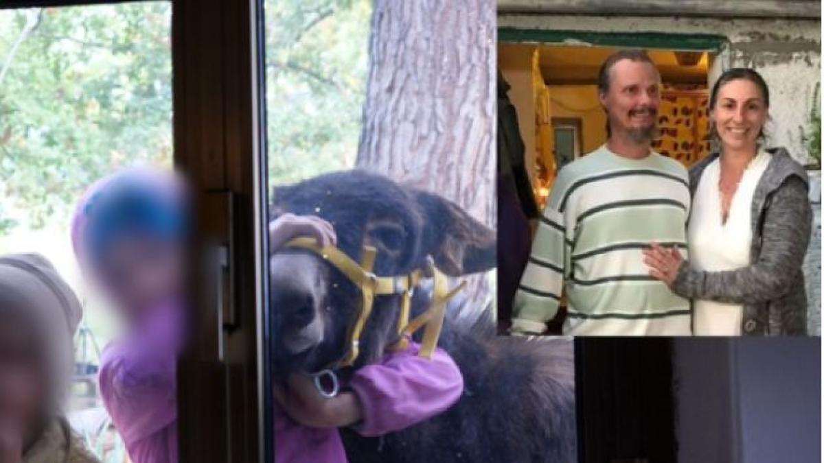 Corriere's tweet card. Sospesa la potestà genitoriale, nominato un tutore per i piccoli. un'avvocata che farà da tutrice per i piccoli. Ma i social si ribellano alla decisione