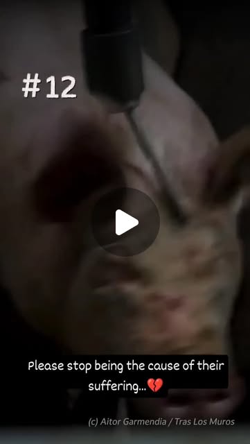 RavenTW's tweet card. Trish Raven (@raventw) • Instagram reel