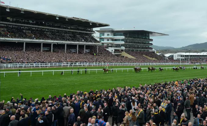 BetCoUK's tweet card. Cheltenham Paddy Power Meeting Always a brilliant meeting on the jumps season calendar and one that throws out some nice priced winners and horses who...