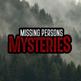 SteveStocktonYT's tweet card. Strange Cases of MISSING SCOUTS