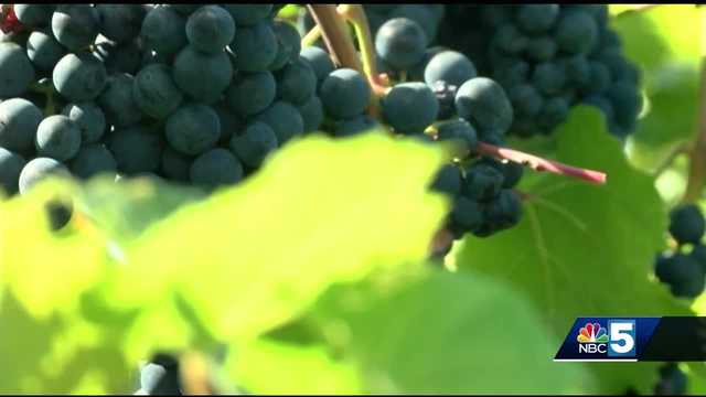 FarrellResource's tweet card. Vermont tourism draws millions of visitors to The Green Mountain State every year, and pretty soon, they could be coming for an outdoor experience the region isn’t typically known for.