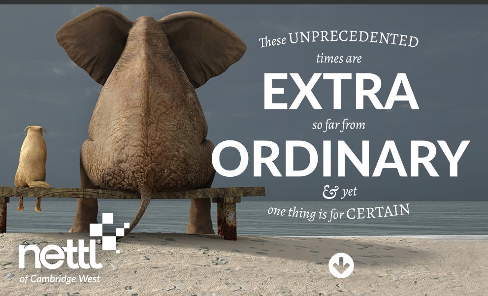 printingdotcom2's tweet card. Web Designers - Saint Ives, Cambridgeshire. Local web design, printing and exhibition stands at affordable prices in and around Cambridge?