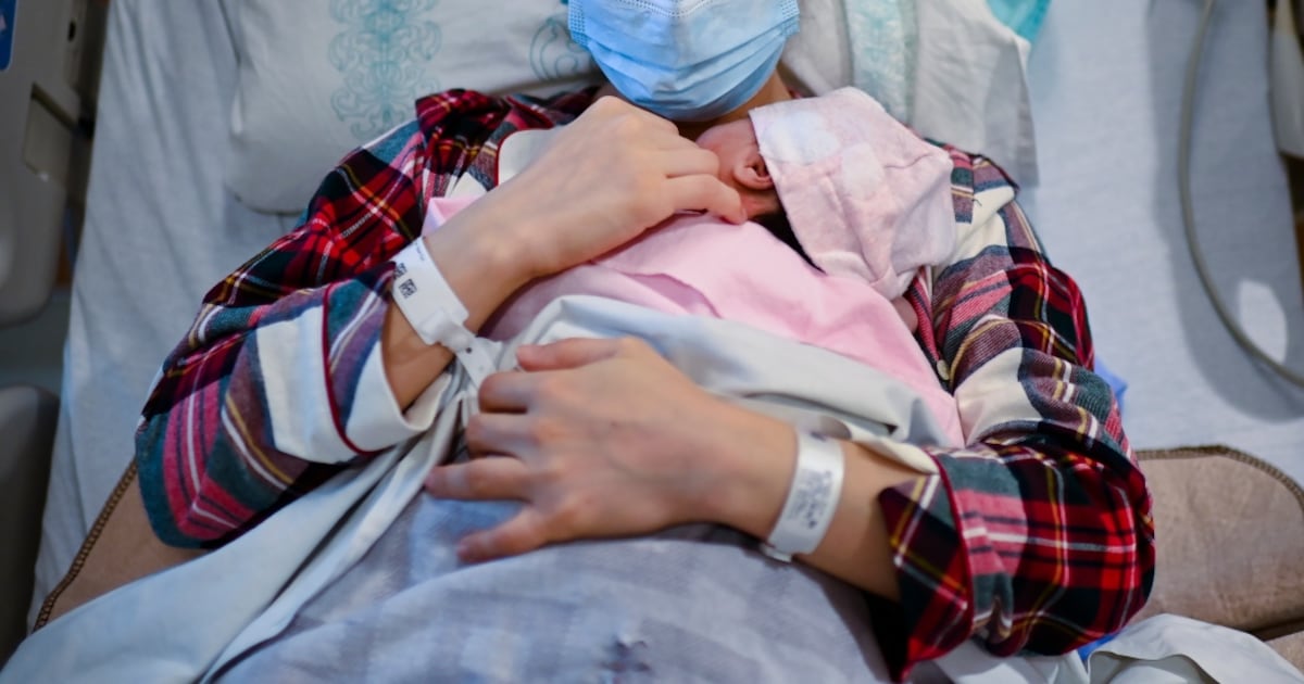 CP24's tweet card. New data from Statistics Canada is shedding light on the contribution of foreign-born mothers to annual Canadian births, which would have fallen significantly since 2010 without them, the agency says.