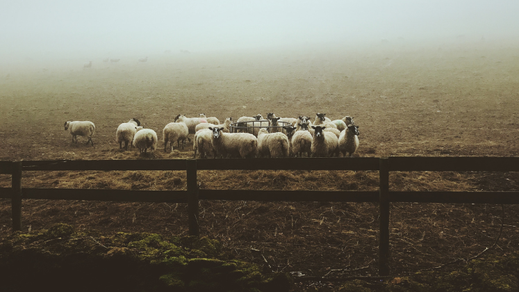 LexBouter's tweet card. Drawing on a recent analysis of APC pricing and movements within the commercial publishing sector, Gunnar Sivertsen and Lin Zhang argue that APCs have now firmly established themselves as the...