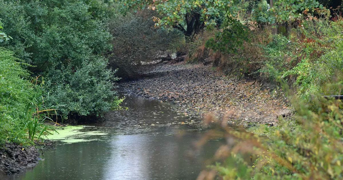 Feargal_Sharkey's tweet card. Thames Water said it is working to improve the network