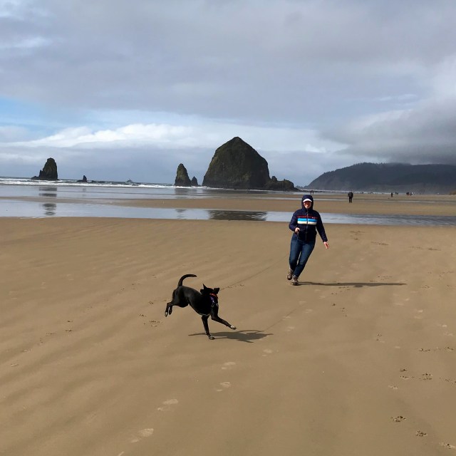 jeffpowers's tweet card. Frolicking at Haystack Rock Growing up, there’s only one spot our family went on summer vacation: Ocean City, Maryland. Way back in the time before AirBnB, my folks would secure a bare bones …