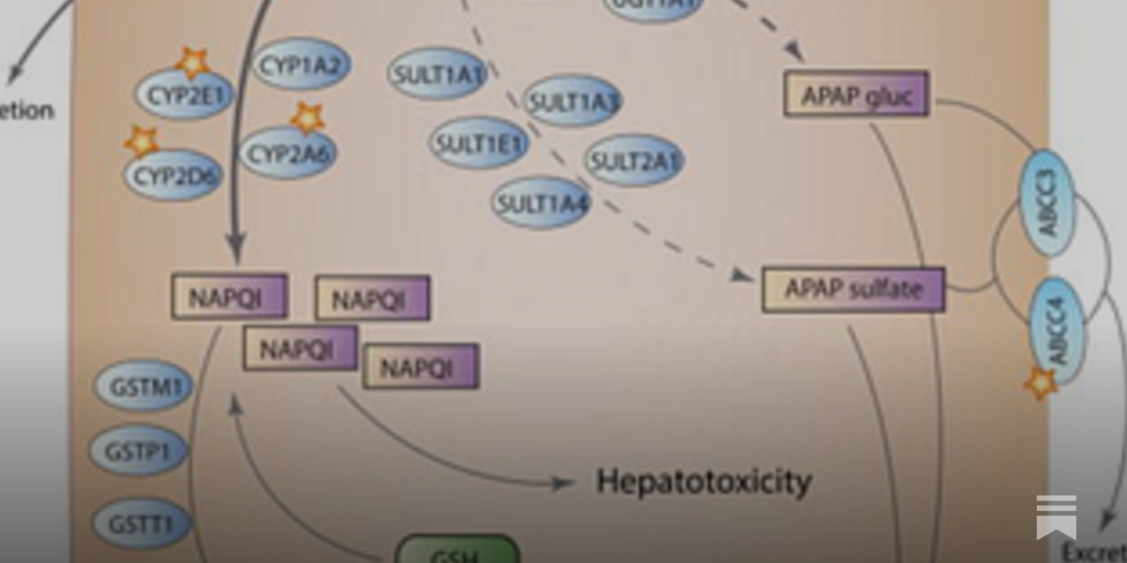 RWMaloneMD's tweet card. Just the proven biochemical, pharmacologic, and clinical facts, Ma'am.