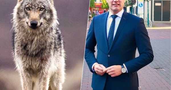 Image for twitter card