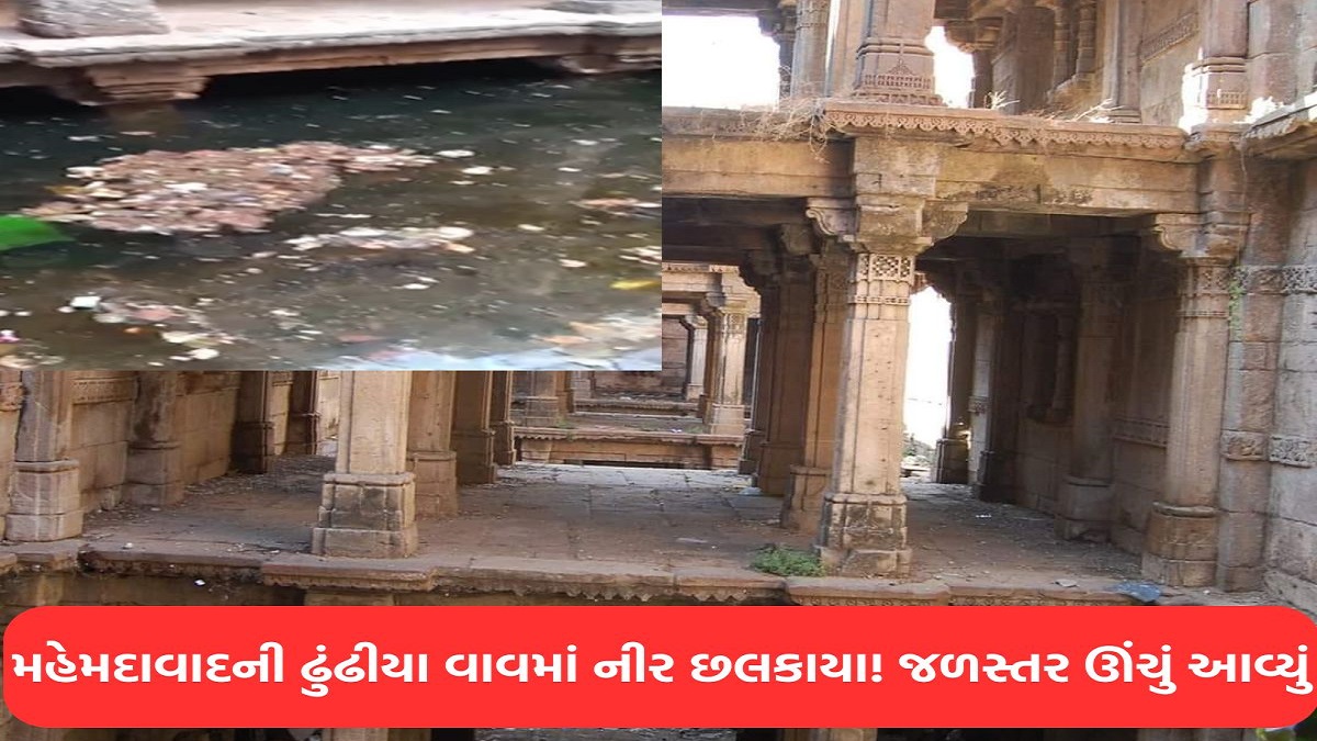 gujaratsamaya's tweet card. મહેમદાવાદ ના લોકોમાં ભારે કુતુહલતા જોવા મળી હતી , જેને લઇને લોકો જોવા માટે આવ્યા હતા અને વાવના નીરને વધાવ્યા હતા