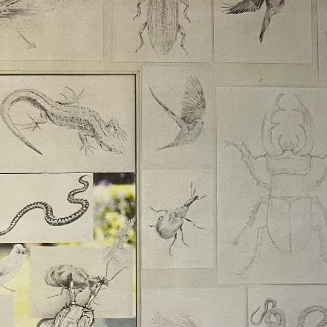 STORYSTOCKFEST's tweet card. Travelling story circus (@storystockcircus) • Instagram photo