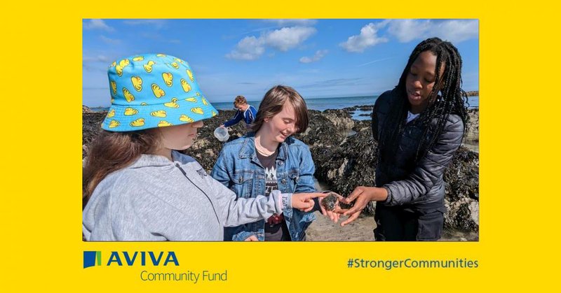 Tweet card summary image