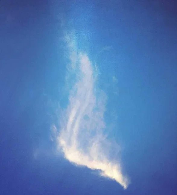 sm11076661's tweet card. 평생교육사 자격증 취득방법과 취업에 대한 관심이 높아지고 있는 요즘, 평생교육사 자격증을 취득하고자 하는 많은 분들이 존재합니다. 평생교육사는 교육 프로그램에 대한 사회 분석, 기획 및 평가를 담당하며, 학습자에게 전달하여 학습 성과를 도모하는 역할을 수행합니다. 평생교육사 자격증 등급 평생교육사 자격증은 1급부터 3급까지 등급별로 구분되어 있으며, 각...