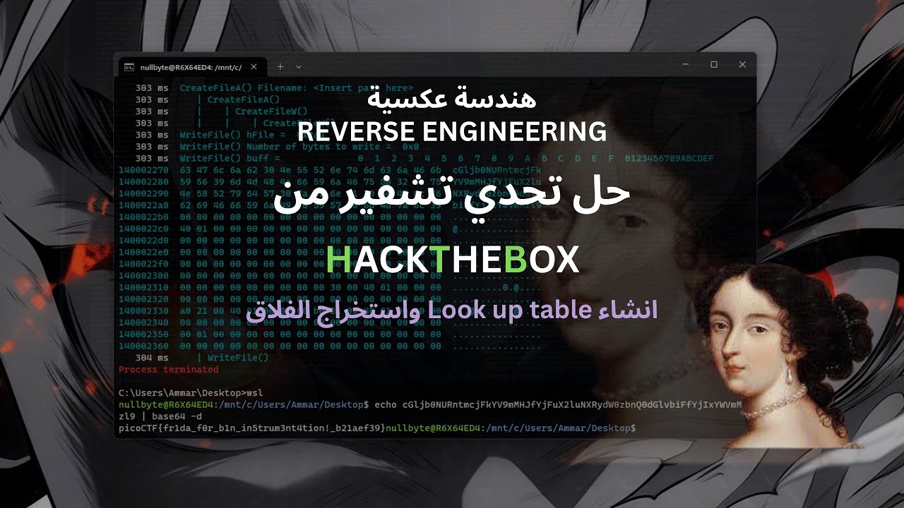 NullByte0x's tweet card. هندسة عكسية | كيف تحل تحديات الهندسة العكسية في مسابقات الـCTF