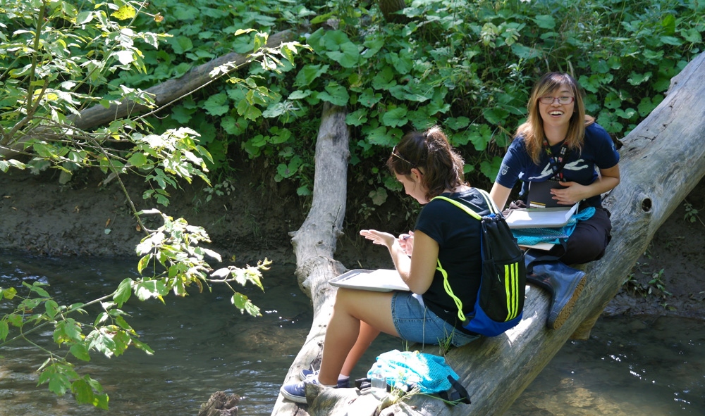 MacEMSD's tweet card. An internationally renowned artist and architect is working with the McMaster community to create an environmentally sustainable design for the west campus. [...]Read More...