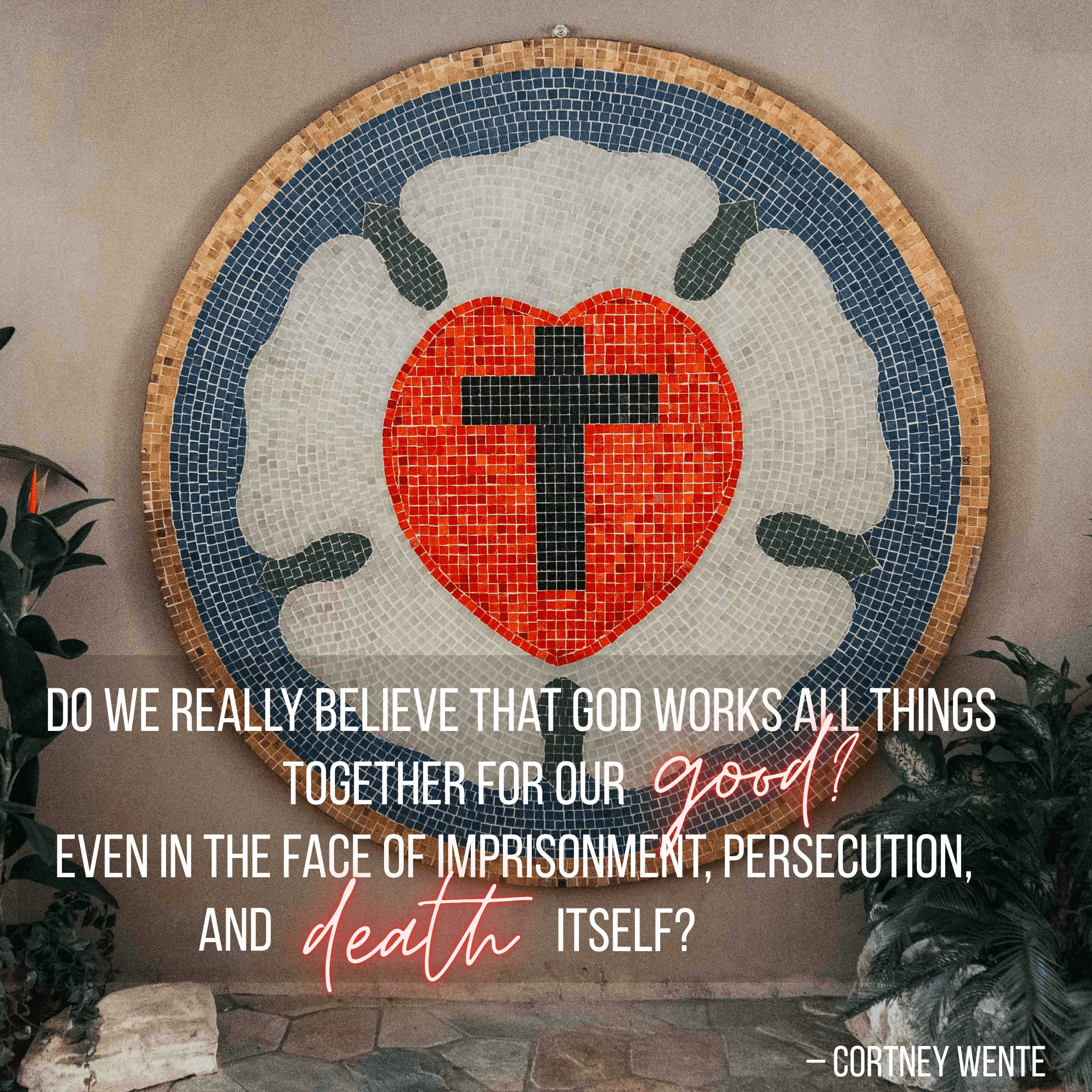 SoulDeepDevos's tweet card. “I assure you and most solemnly say to you, unless a grain of wheat falls into the earth and dies, it remains alone [just one grain, never more]. But if it dies, it produces much grain and yields a...