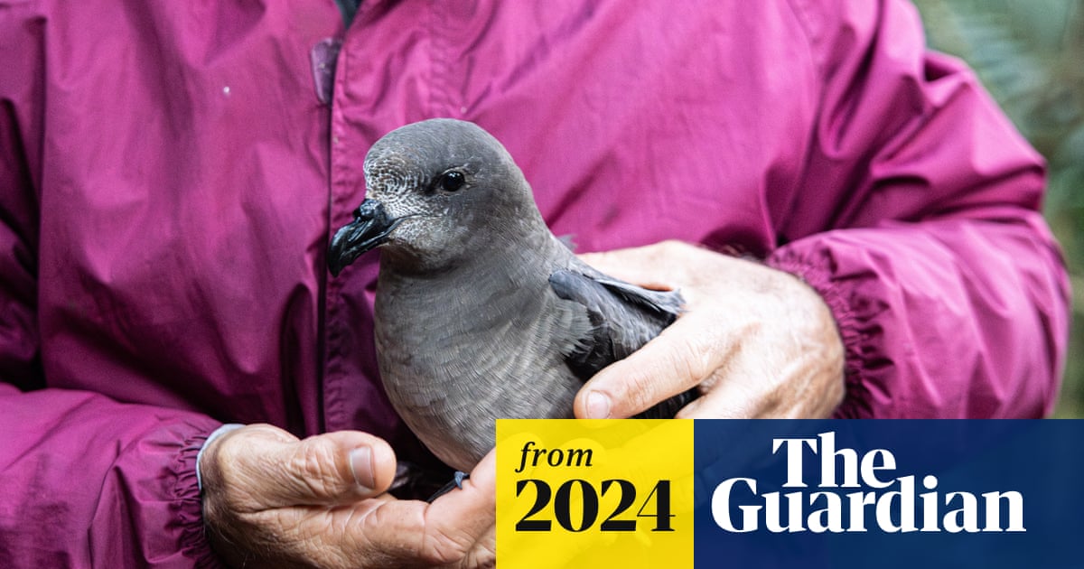 guardianscience's tweet card. Some wild bird populations, like those on Lord Howe Island, are at lower risk from the virus but other populations could face a ‘wildlife massacre’