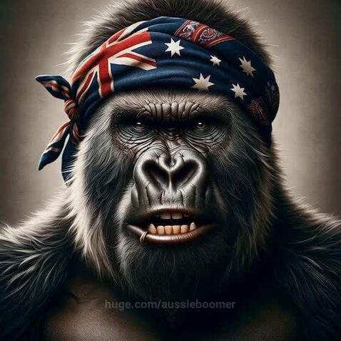 FomoDrips's tweet card. Dad Joke Time - Gorilla Boomer at it again