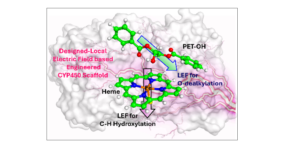 ShakirAliSiddi4's tweet card. In enzymes, protein residues themselves carry charges and produce a preorganized local electric field (LEF). Such LEFs can be modified by strategically mutating the charged and polar residues to...