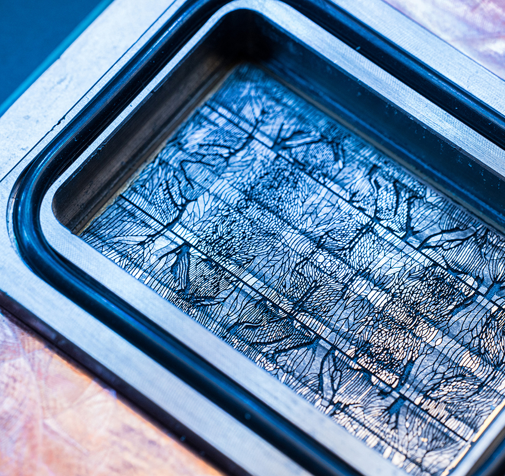 satyanadella's tweet card. AI chips are getting hotter. A microfluidics breakthrough goes straight to the silicon to cool up...