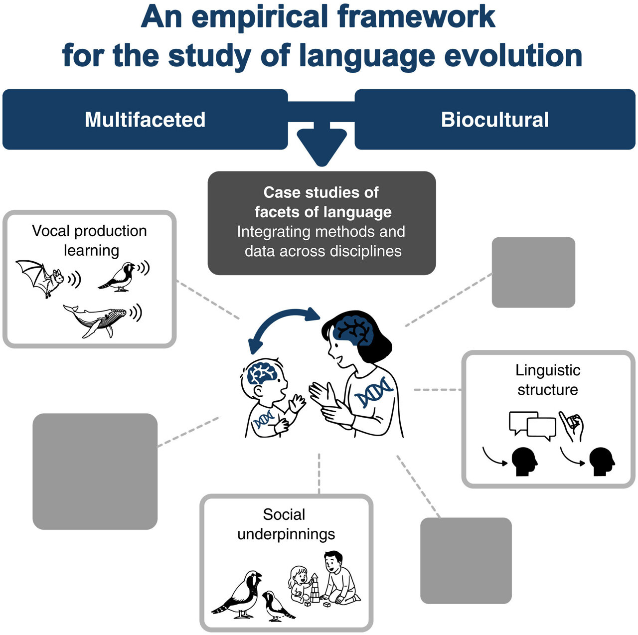 Moritzbhg's tweet card. A new study challenges the idea that language stems from a single evolutionary root. Instead, it proposes that our ability to communicate evolved through the interaction of biology and culture, and...