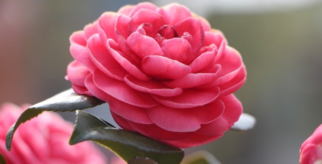 LoPsicoTaccuino's tweet card. Quest’anno sarò più produttiva, promesso. È una frase che mi ripeto tutti gli anni, e tutti gli anni aggiungo un tassello a questo obiettivo. Ho anche comprato una nuova agenda settimanale, p…